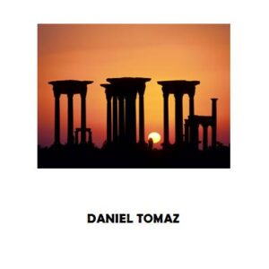 Reflexões do Exilio - Daniel Tomaz Gomes da Silva